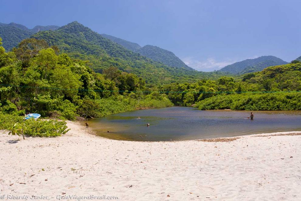 Imagem das lindas árvores em volta da piscina natural da Praia de Camburi-Ubatuba.